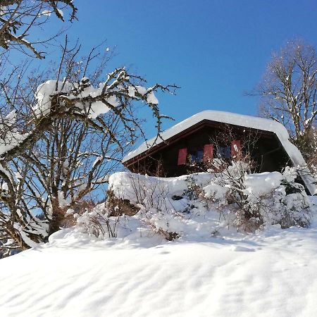 Ferienhaus Schnider Galgenul Eksteriør billede