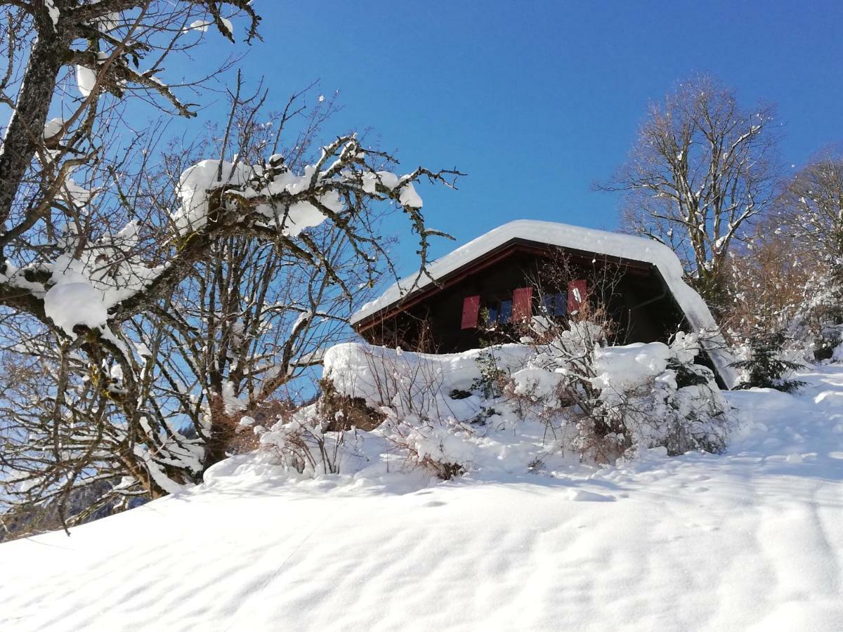 Ferienhaus Schnider Galgenul Eksteriør billede